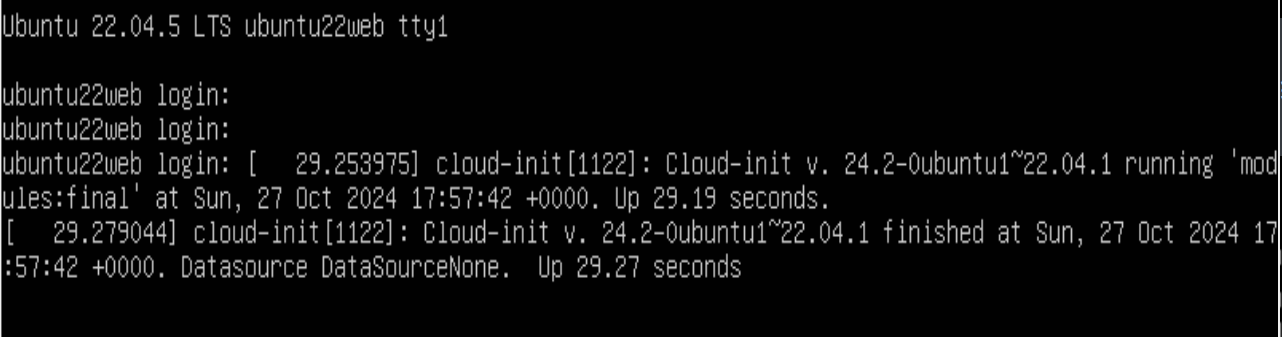 image-20241028020106054