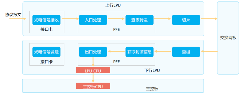 image-20250203113921647