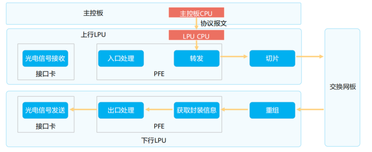 image-20250203114002032