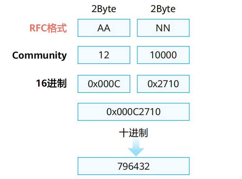 image-20250301073635827